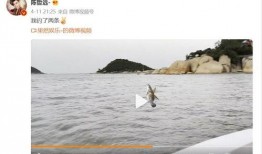 日本钓鱼视频在线观看,在线观看，体验海洋魅力