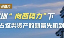 今日深圳爆料,揭秘城市热点事件背后的真相