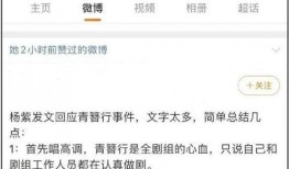 圈内爆料杨紫的内容,揭秘娱乐圈背后的故事